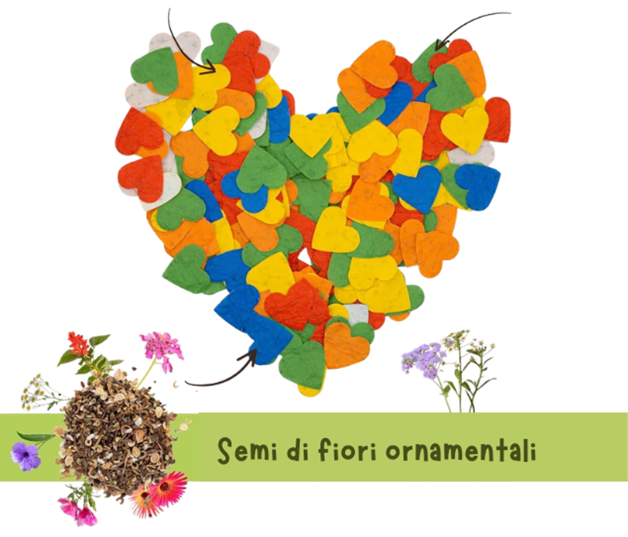 8 marzo - Omaggio Cral di semi di fiori ornamentali colorati