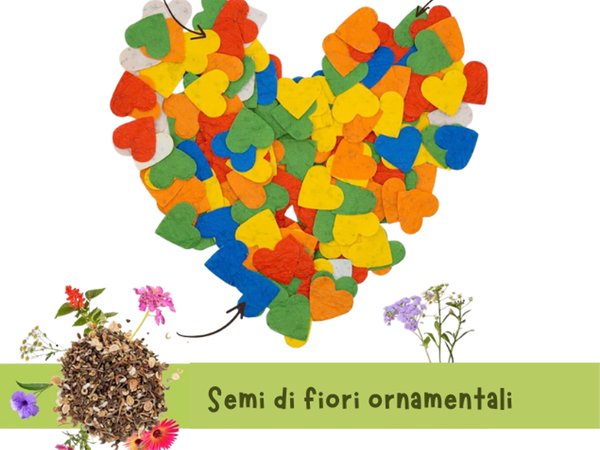 8 marzo - Omaggio Cral di semi di fiori ornamentali colorati
