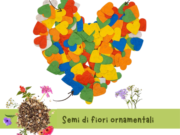 8 marzo - Omaggio Cral di semi di fiori ornamentali colorati