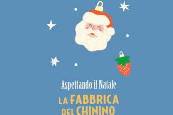 Acquisto Prodotti Natalizi Fabbrica del Chinino
