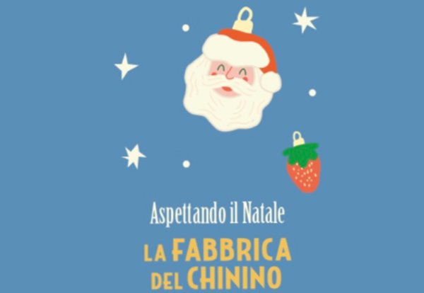 Acquisto Prodotti Natalizi Fabbrica del Chinino
