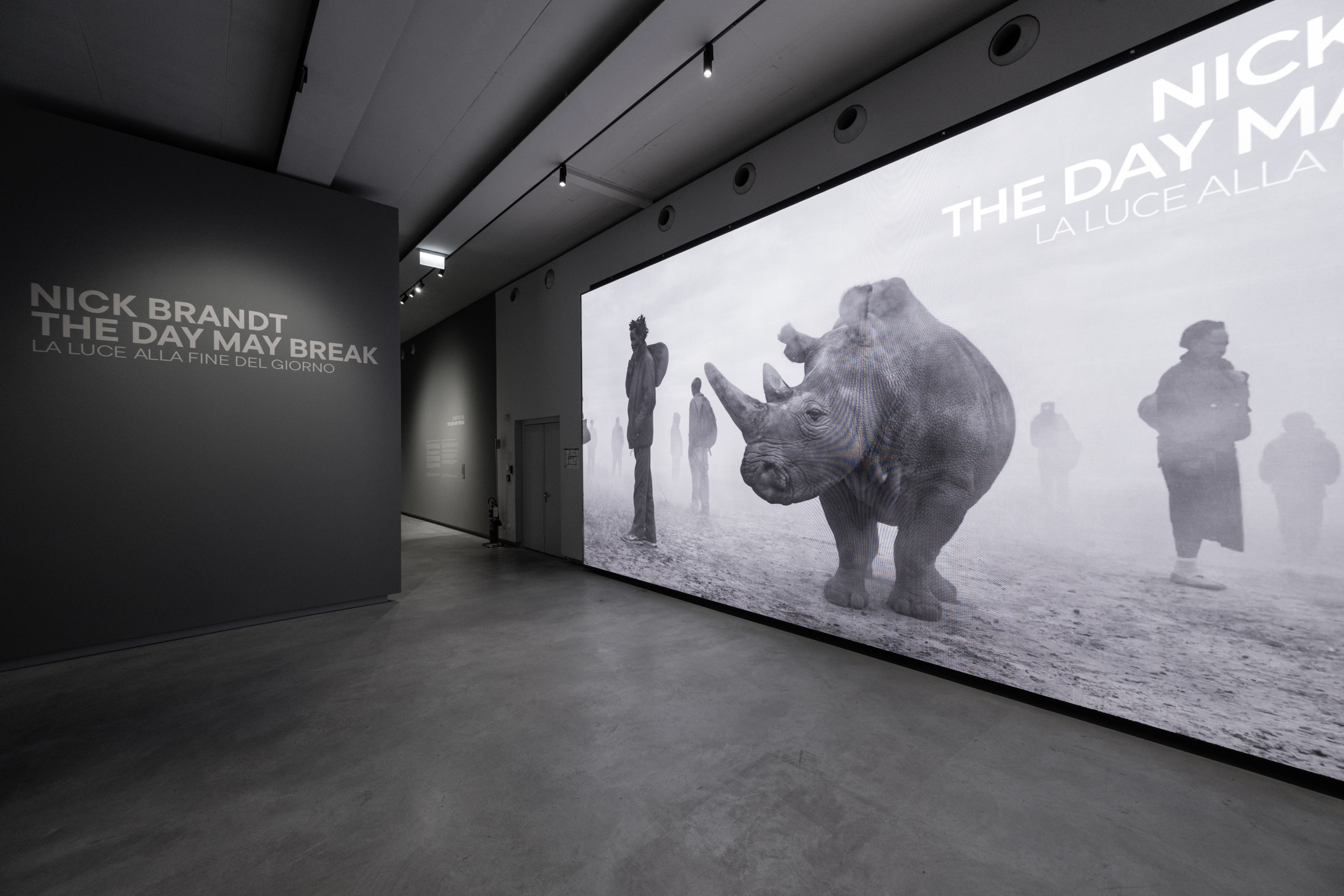 Nick Brandt. The Day May Break. La luce alla fine del giorno (+pizza)