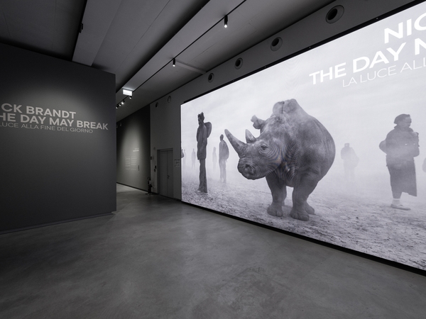 Nick Brandt. The Day May Break. La luce alla fine del giorno (+pizza)