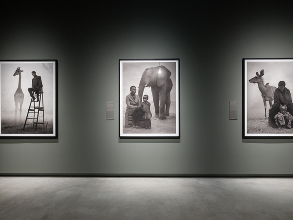 Nick Brandt. The Day May Break. La luce alla fine del giorno (+pizza)