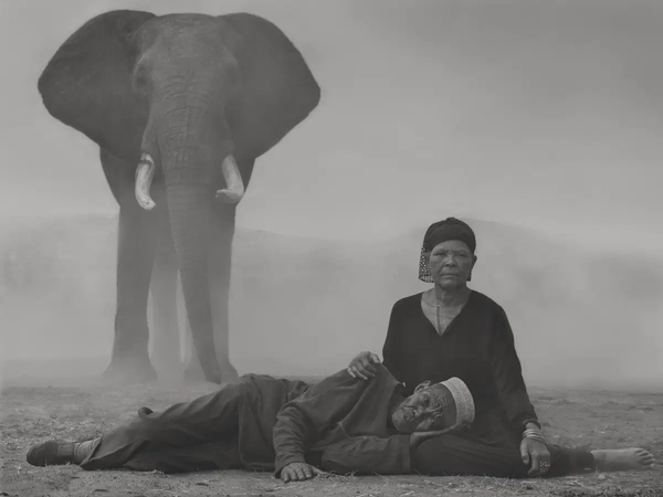 Nick Brandt. The Day May Break. La luce alla fine del giorno (+pizza)