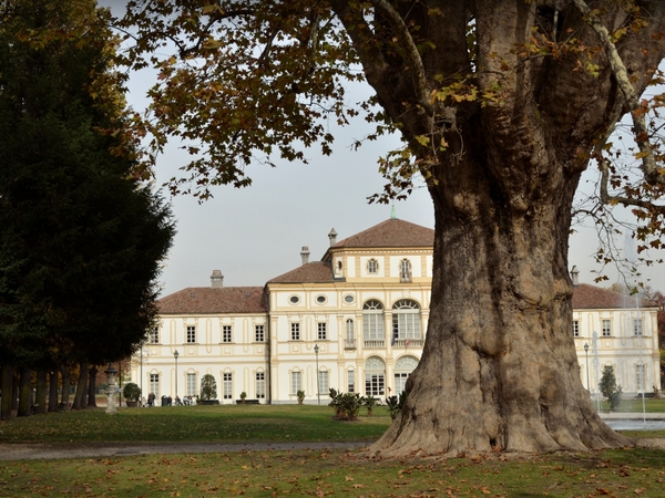 Alberi monumentali
